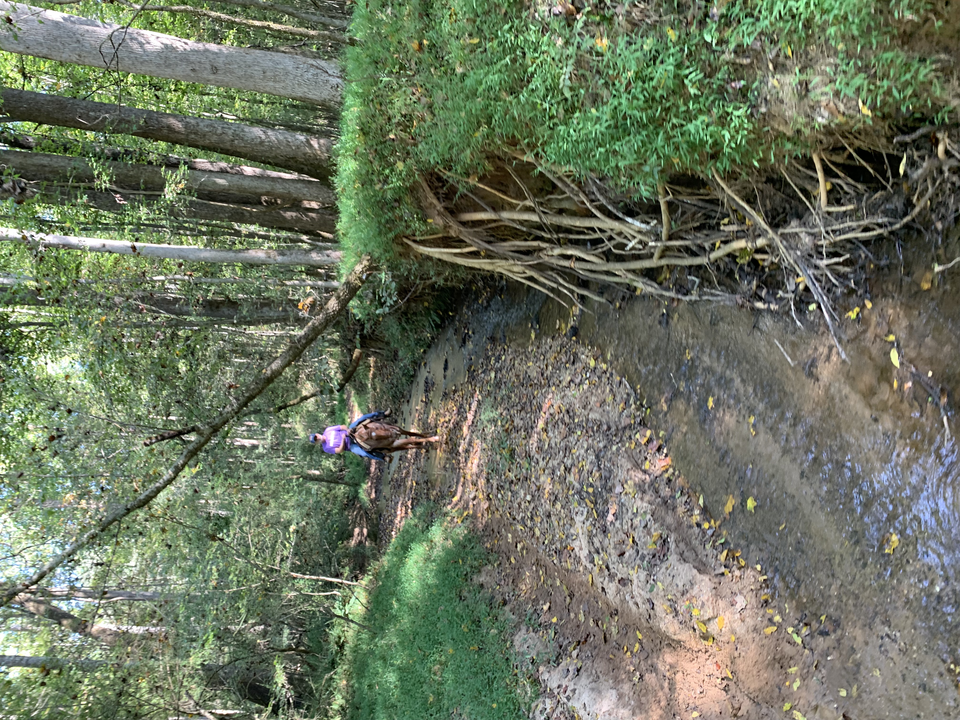 ./2021/07 - Southern Cross/IMG_5524.JPG